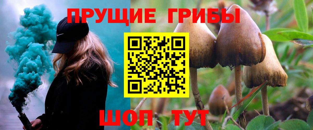Ивантеевка  Псилоцибиновые грибы мицелий  Вход с VPN 
