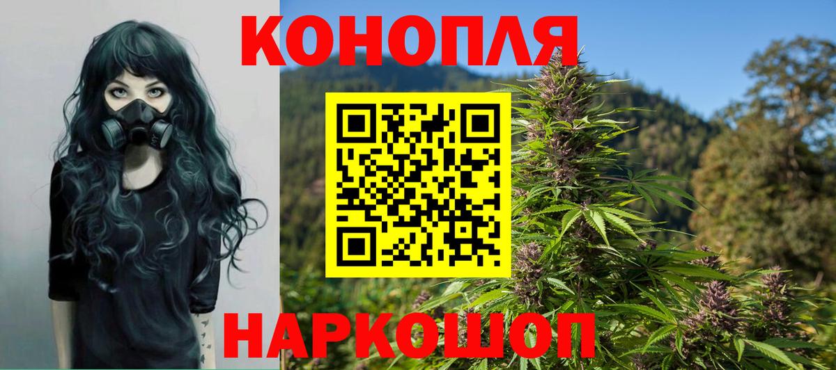 МАРИХУАНА конопля Ивантеевка